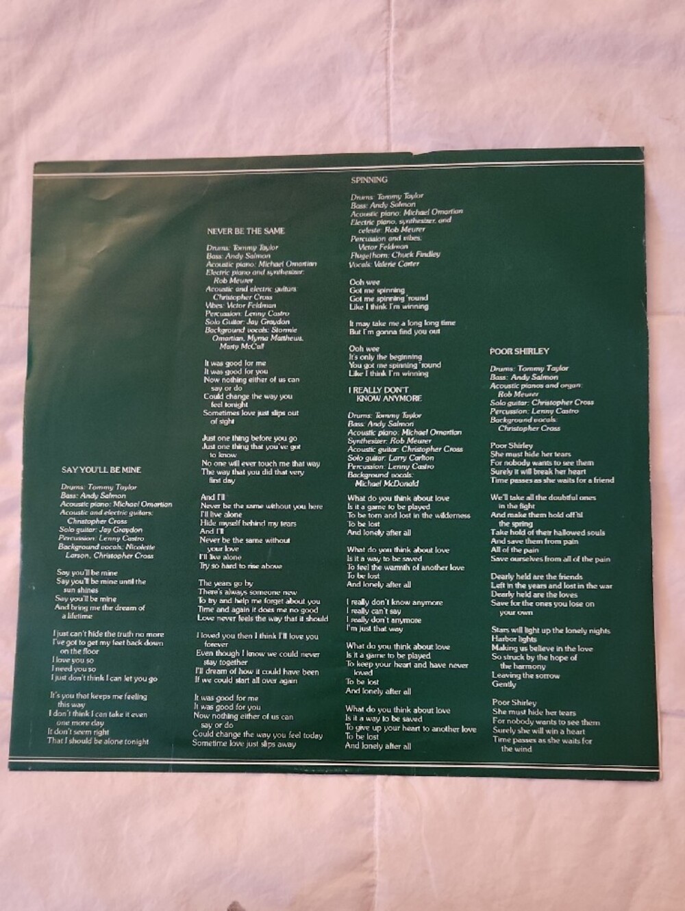 Christopher Cross Flamingo Album Cover - Green Background - Picture 2 of 4
